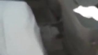 Türk olgun ormanda